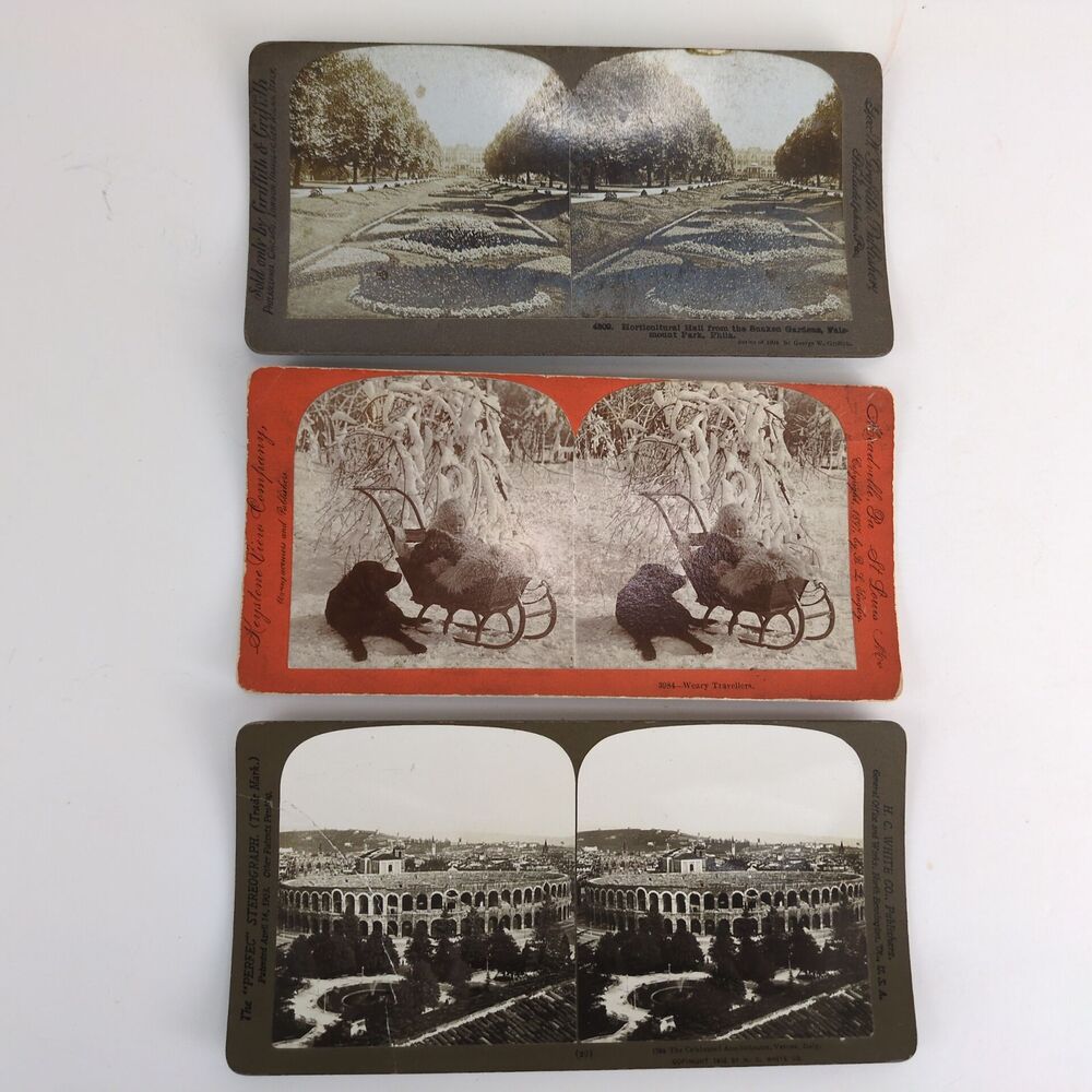 3 Antique Stereograph Cards, Winter Baby & Dog, Verona Italy, Philadelphia PA‎